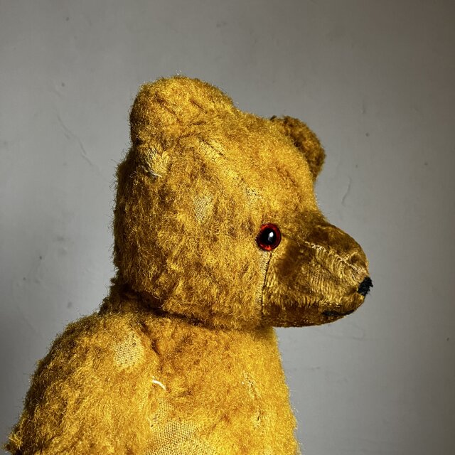 ドイツアンティーク　GOLDENテディベア ドイツアンティーク GOLDENテディベア ドイツアンティーク