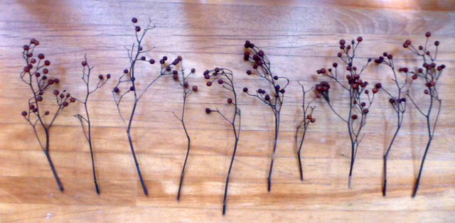 野ばらの赤い実 10本 | iichi 日々の暮らしを心地よくするハンドメイド