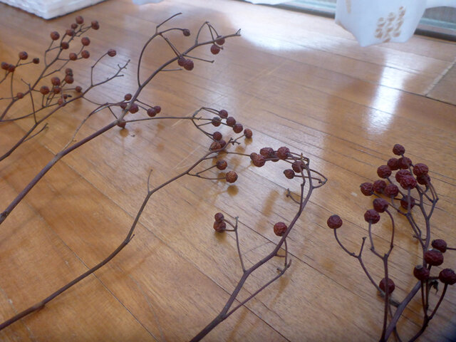 野ばらの赤い実 10本 | iichi 日々の暮らしを心地よくするハンドメイド