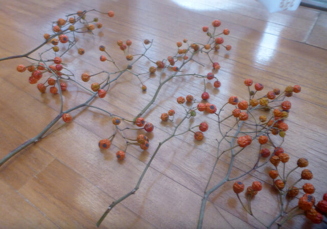 ［cutemio］野ばらの実　赤 野ばらの赤い実 10本 | iichi 日々の暮らしを心地よくするハンドメイド