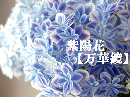 ❤氷の上で咲く紫陽花【万華鏡】ワイングラスで | iichi 日々の暮らし