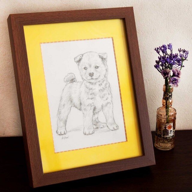 鉛筆画 柴犬の仔犬の画像1枚目