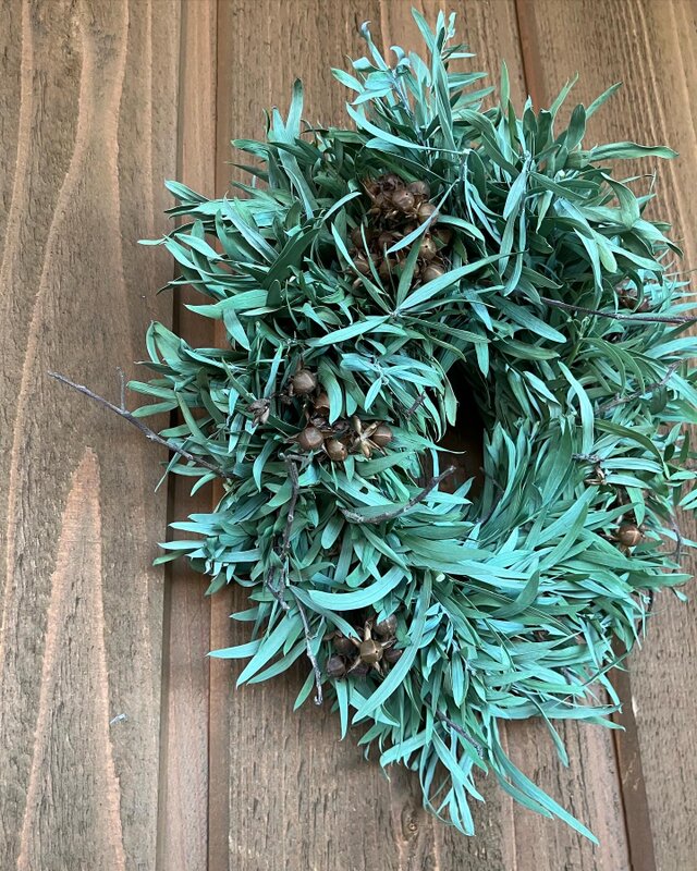 秋〜冬のリース　　アカシア　ブルーブッシュ　グリーンリース　シルバーグリーン　小枝　鳥の巣　シンプル　大人　ナチュラル　自然　