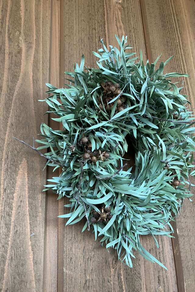 秋〜冬のリース アカシア ブルーブッシュ グリーンリース シルバー