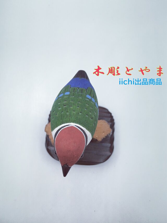 バードカービング　ヤイロチヨウ ヤイロチョウ【木彫バードカービング】 | iichi 日々の暮らしを