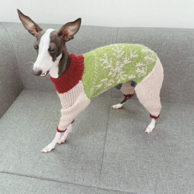 イタグレの雪と針葉樹のカバーオールセーター（フルオーダー）