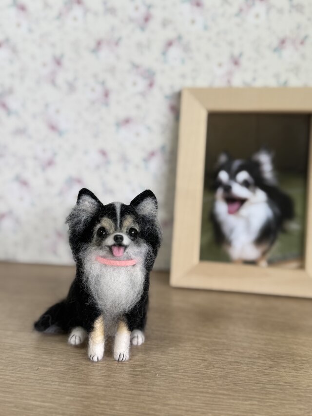 Alohappy♡うちの子オーダー♡羊毛フェルト♪ハンドメイド☆ Alohappy♡うちの子オーダー♡羊毛フェルト♪ハンドメイド☆ うちの子