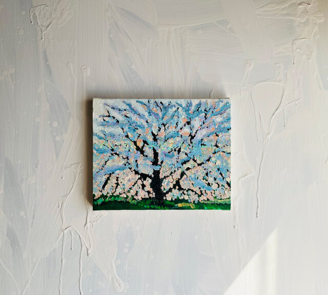 22×27㎝「朝の桜３」油彩・原画・F3 22×27㎝「朝の桜3」油彩・原画・F3 | iichi 日々の暮らしを