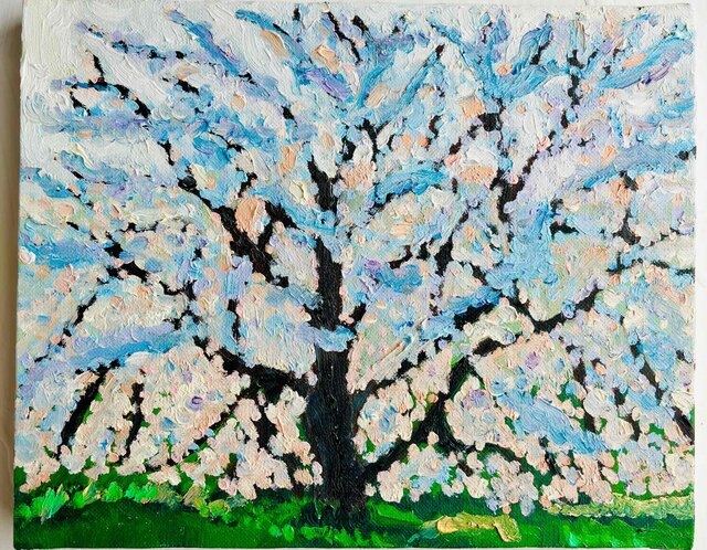 22×27㎝「朝の桜3」油彩・原画・F3 22×27㎝「朝の桜3」油彩・原画・F3 | iichi 日々の暮らしを