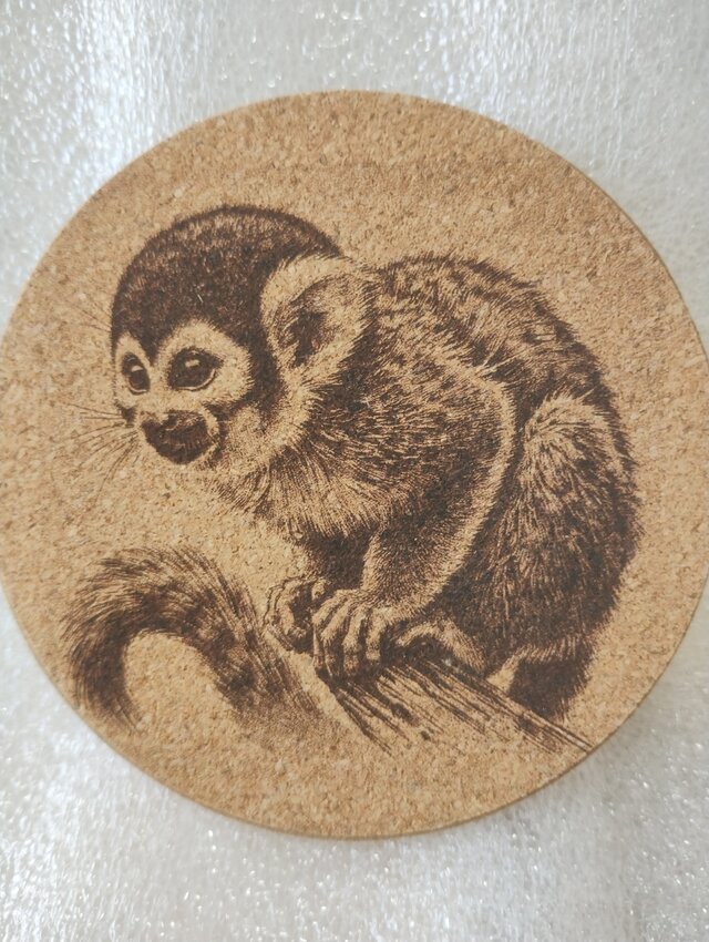 コースター　リスザル