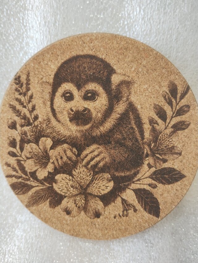 コースター　リスザル