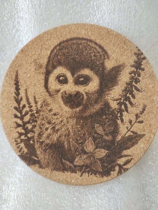 コースター　リスザル