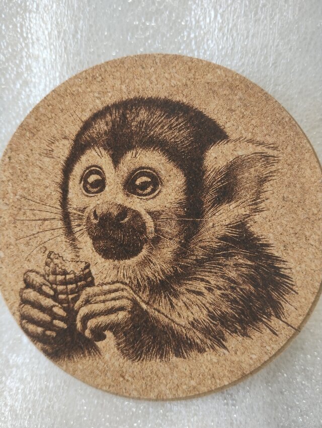 コースター　リスザル