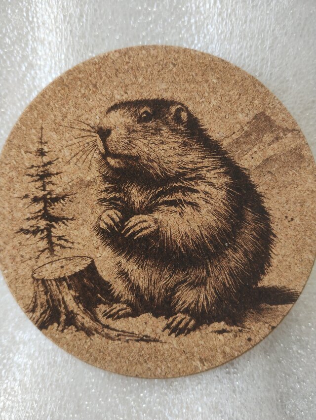 コースター　マーモット