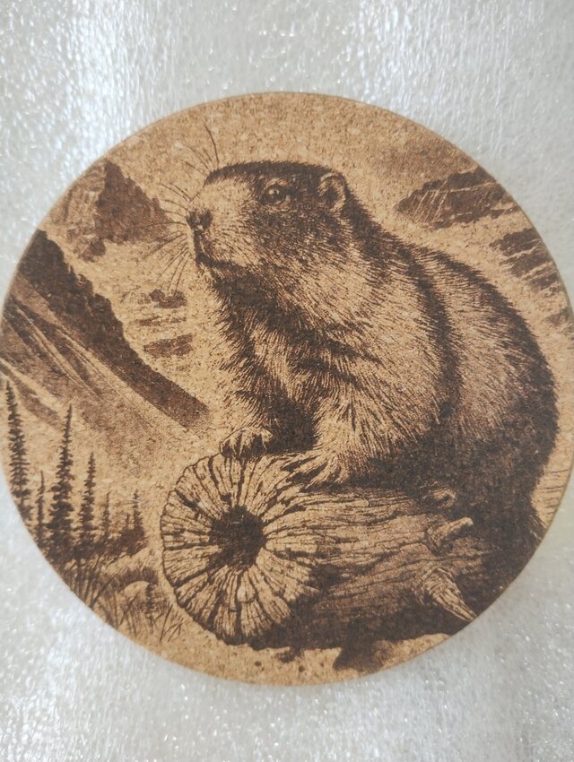 コースター　マーモット