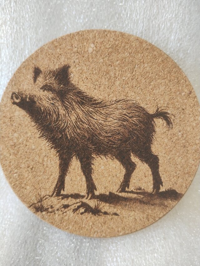 コースター　イノシシ