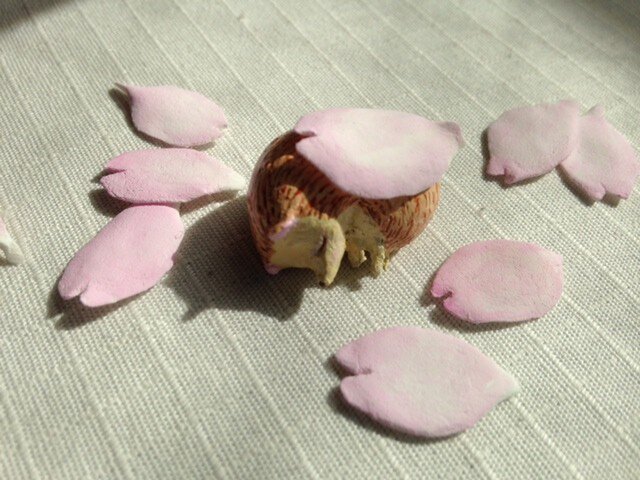 桜はりねずみの画像1枚目
