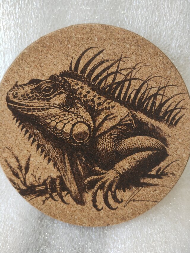 コースター　イグアナ