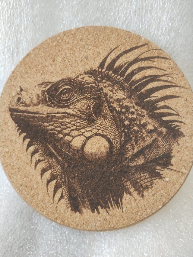 コースター　イグアナ