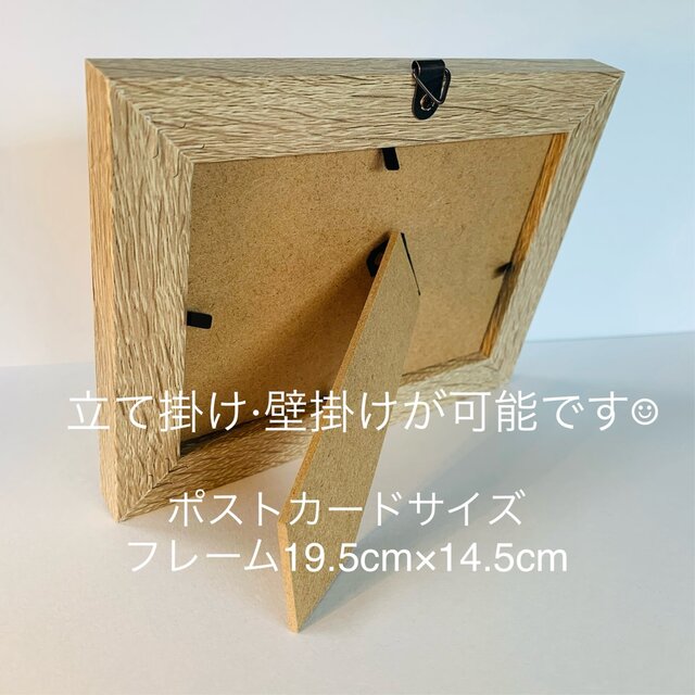 シーグラスアート インテリア雑貨 癒しの森 星に願いを 観葉植物 置物