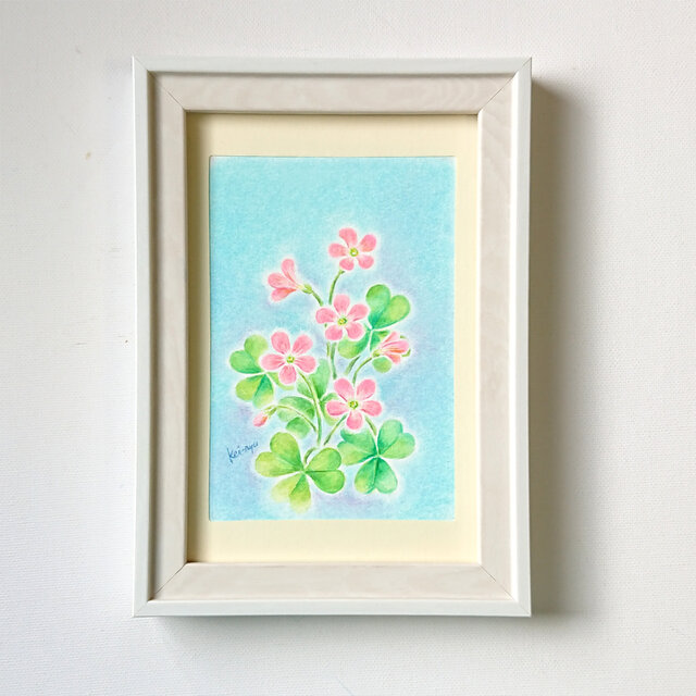 原画作品「ピンクのカタバミ」