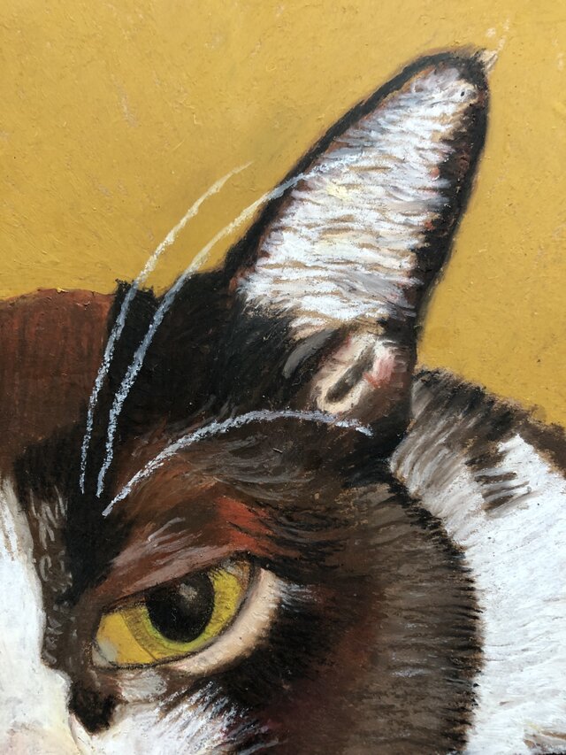 猫イラスト「ウメ11」原画 | iichi 日々の暮らしを心地よくする