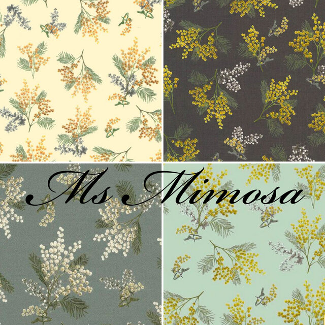 ♡Ms MimosaDご予約会♡