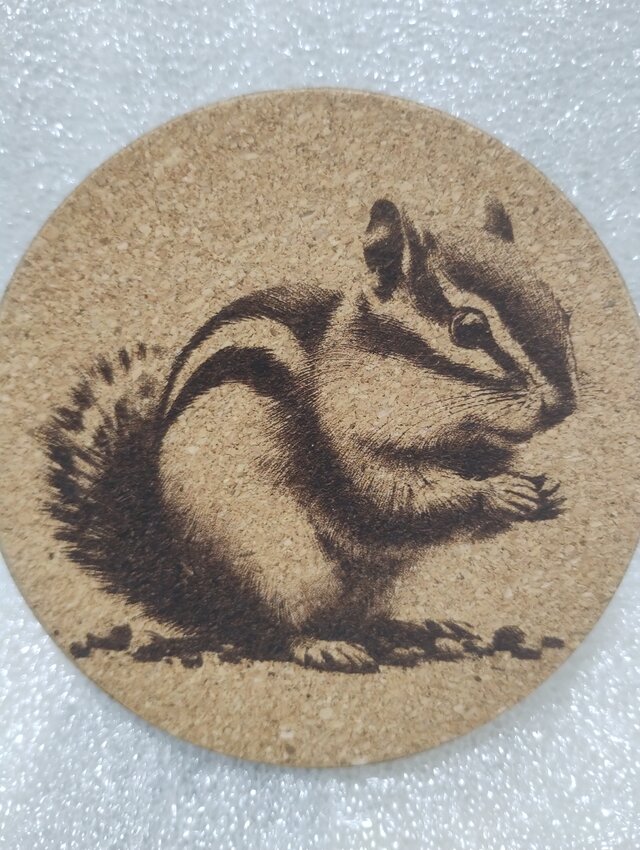 コースターリス