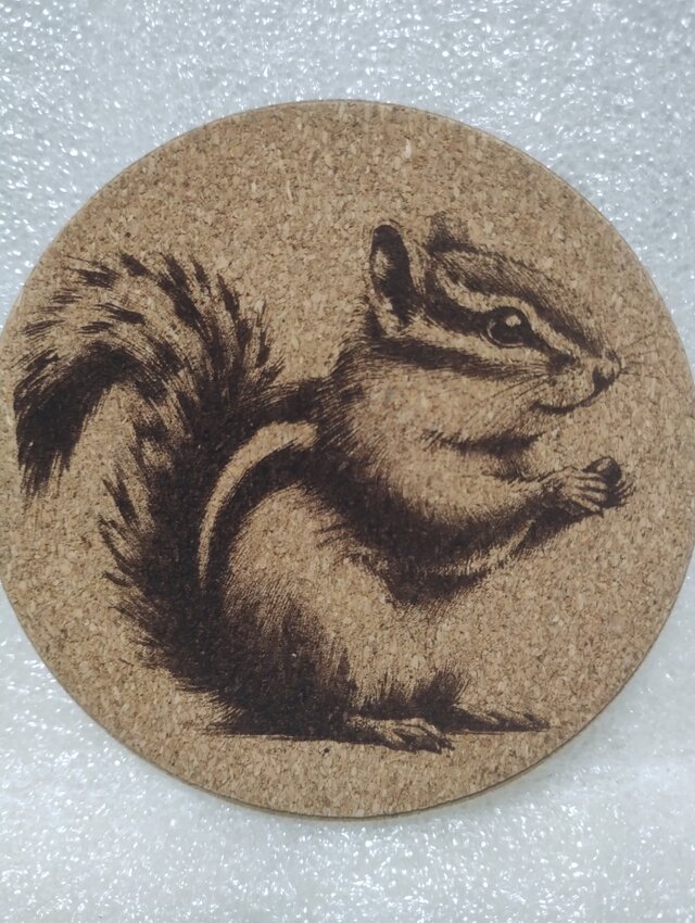 コースター　リス