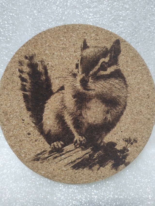 コースター　リス