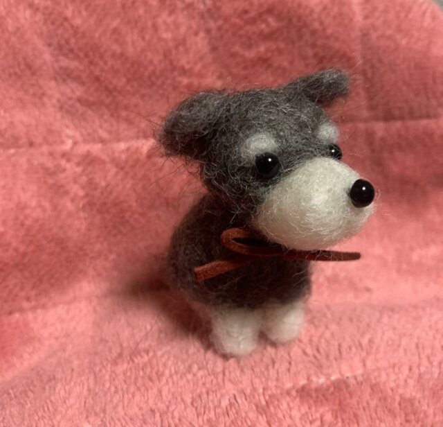 注文制作 羊毛フェルトシュナウザー | iichi 日々の暮らしを