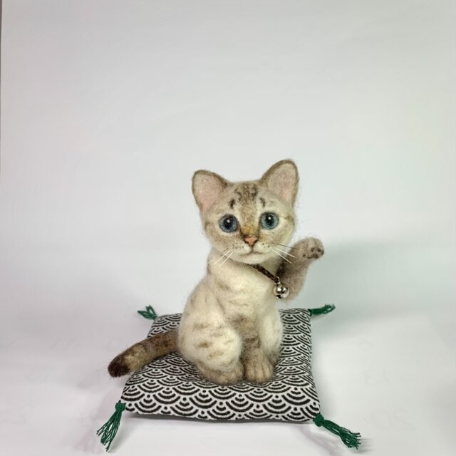 招き猫  シャムトラ