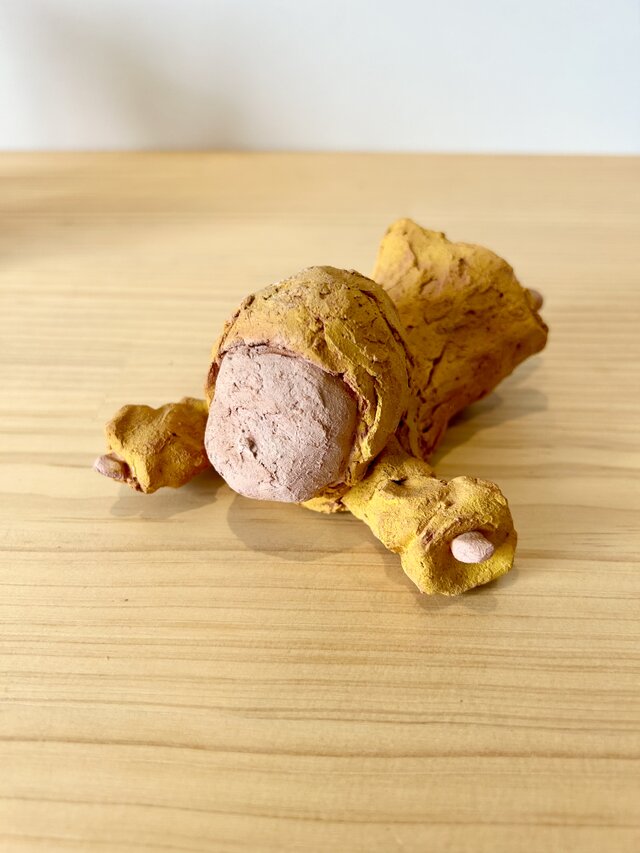 rra cotta（ラコッタ）・イエロー