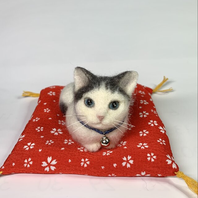 白黒さん　ヅラ猫