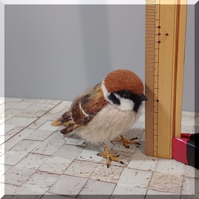 【羊毛フェルト】雀　怒る★鳥★野鳥 羊毛フェルト】雀 怒る☆鳥☆野鳥 羊毛フェルト】雀 怒る☆鳥