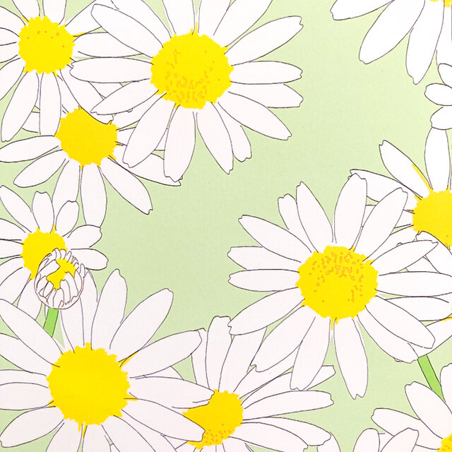 マーガレット　デザインペーパー　A4