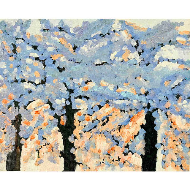 22×27㎝「朝の桜　2025.1-3」油彩・原画・F3