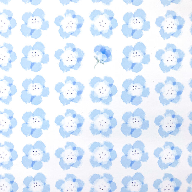 ねもふぃらページ ネモフィラ、Nemophila menziesii | @Hitachi Seaside Park | Flickr