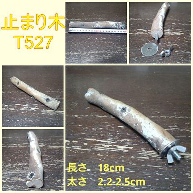 止まり木（枝：TOY-08-015）T527