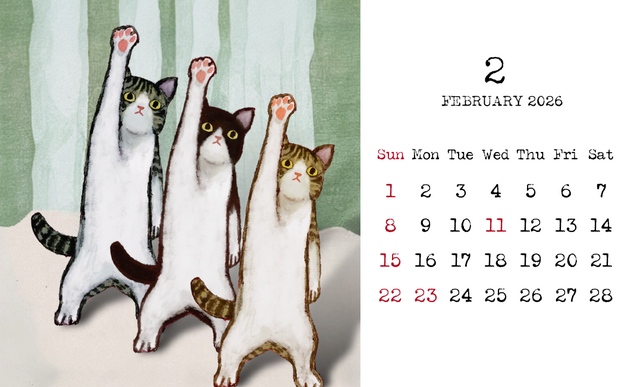 Emily Ratajkowski カレンダー2022年から2025年4冊セット Emily Ratajkowski カレンダー2022年から2025年4冊セット Amazon