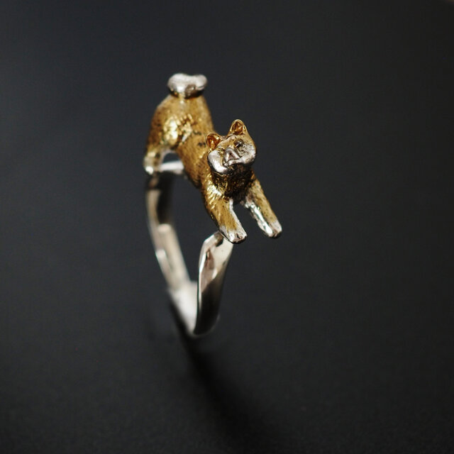 拒否茶柴犬リング