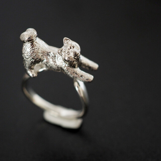 拒否黒柴、白柴犬リング