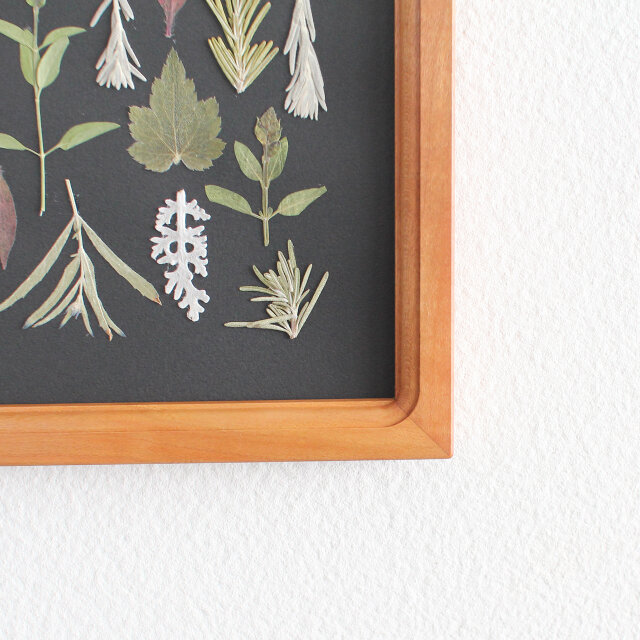 Pressed flower フレーム〜押し花アート〜A5 Cherry | iichi 日々の