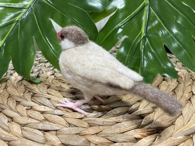 羊毛フェルト シナモン文鳥 | iichi 日々の暮らしを心地よくする