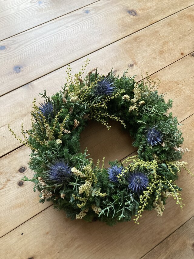 春待ちリース  ~エリンジュームと蕾ミモザ♩