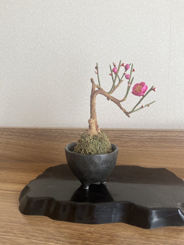 梅の花