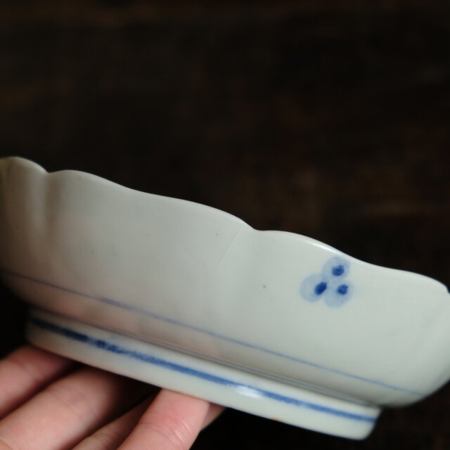 可憐で可愛い◇花唐草と五芒星。瀬戸焼 花文染付膾皿 antiques/骨董