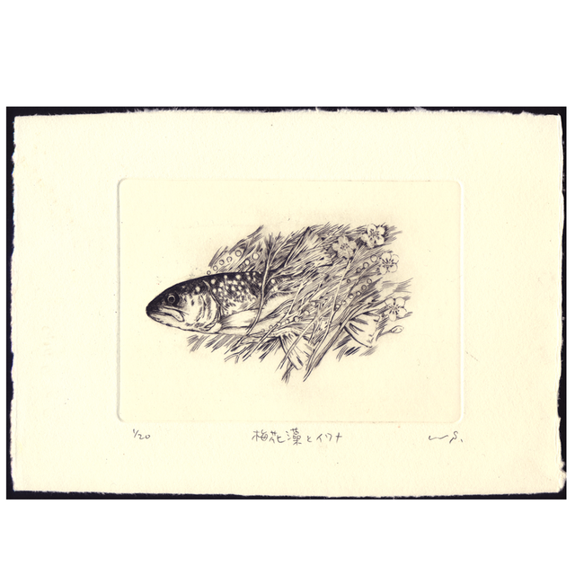 銅版画「梅花藻とイワナ」