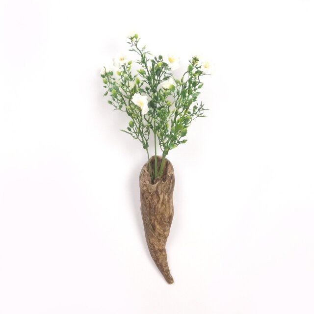【温泉流木】キュッと細くなる小さな流木壁掛け一輪挿し・花器 花瓶 木製 流木インテリア