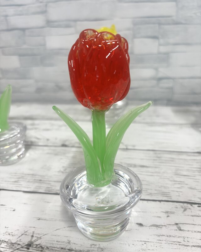 3月の鉢植え 赤色のチューリップ | iichi 日々の暮らしを